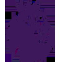 Ӣ�� ��˹��ά��vs������20251005