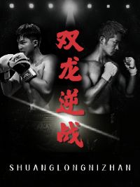 ˫����ս��ȭ��֮����˫��