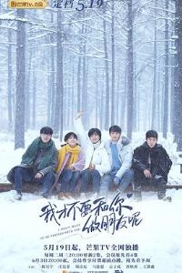 �ҲŲ�Ҫ������������Ԥ��Ƭ