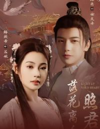 �仨�����վ��ģ��޸��׸���Ҫ�����