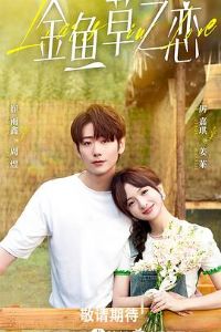 �޷����ܵĻ���