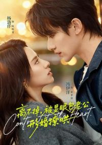 �벻���������۰��Ϲ��λ��ú�