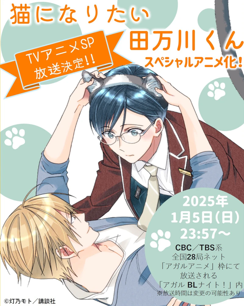 ����è�����򴨾�