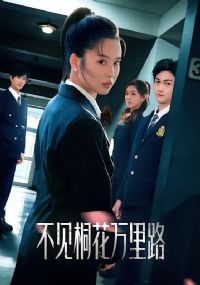 不见桐花万里路